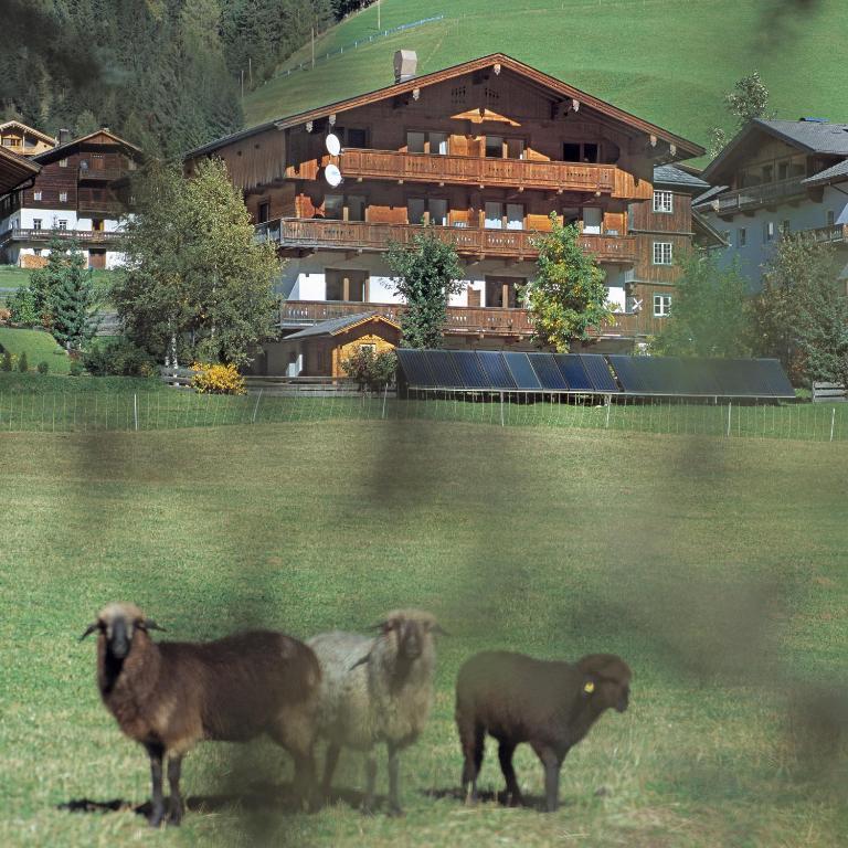 Ferienpension Senfter Innervillgraten Exterior foto